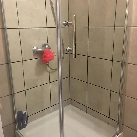 Simba 2 Pula