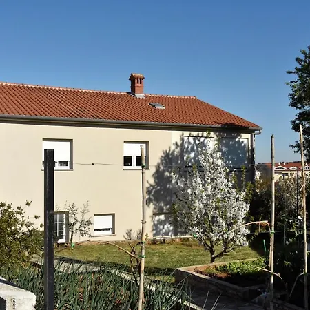 Simba 2 Apartman
